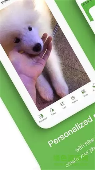 poooli打印机 poooli打印机app下载