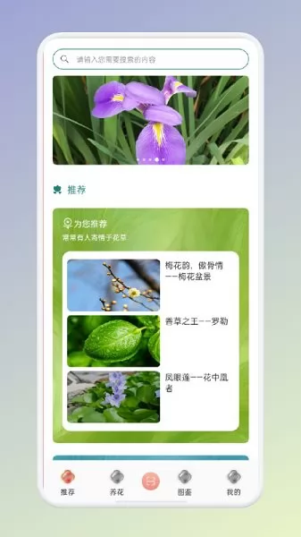 拍照识花识别植物工具 拍照识花识别植物app
