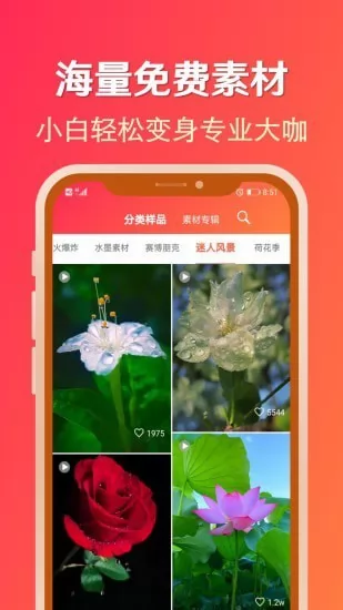 淘素材免费版 v21.2.6 安卓版 1