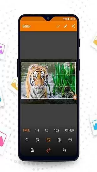 相册管理大师app v1.2.5 安卓版 2