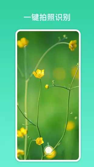 万能识别 万能识别app下载