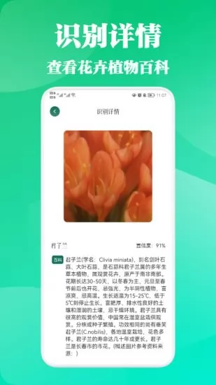 三叶草植物识别 v1.1 安卓版 0