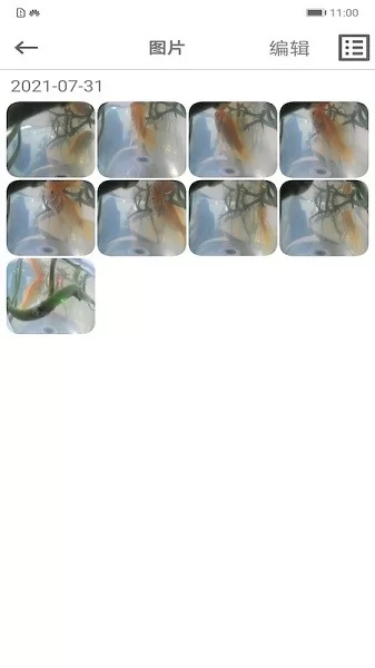 乐信车载影像app v1.3.6 安卓版 2