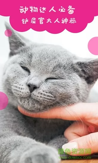 猫语翻译手机版 v2.0.2 安卓版 3