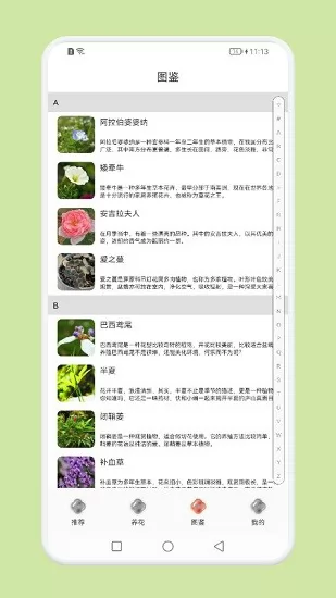 植物识别百科 植物识别百科app下载