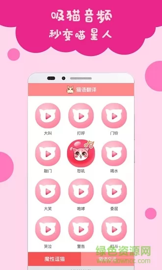 猫语翻译手机版 v2.0.2 安卓版 2