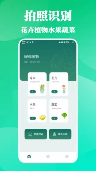 三叶草植物识别 三叶草app