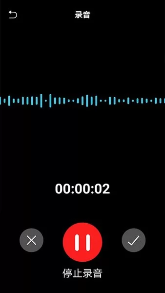 免费实时录音转文字 v1.2 安卓版 0