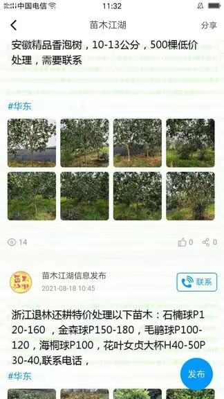 苗木江湖app v1.4.7 安卓版 0