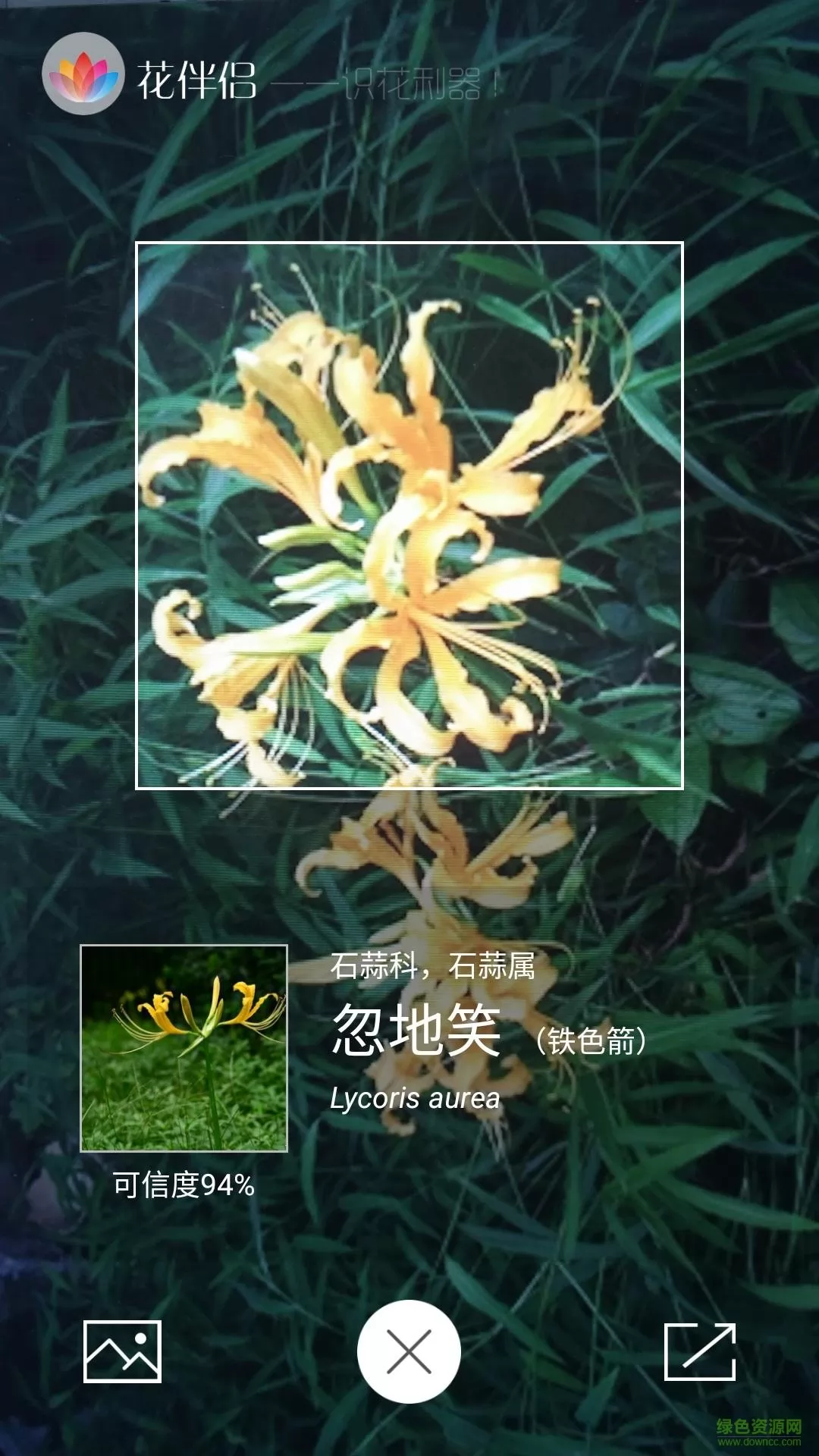 花伴侣植物识别 v3.2.10 官方安卓版 2