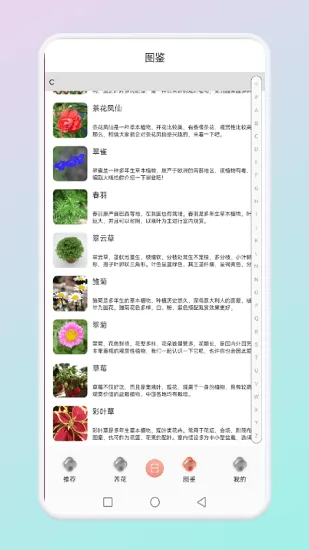 拍照识别花草软件 v1.1 安卓版 1