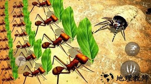 昆虫捣蛋模拟手游 v1.0 安卓版 2