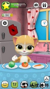 会说话的艾玛猫手游 v3.2 安卓版 2