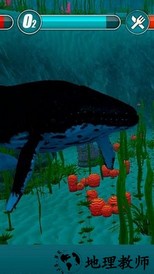 水下生存模拟中文版 简体中文绿色免费版 1