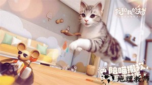 我和我的猫最新版 v1.0.84161 安卓官方版 0