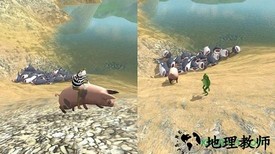 疯狂的青蛙 v1.0 安卓版 1