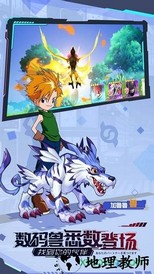 宠物集结 v1.0 安卓版 1