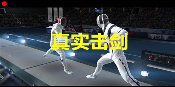 真实击剑游戏下载