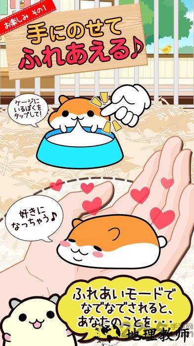 仓鼠收藏中文版游戏 v2.8.0 安卓版 1