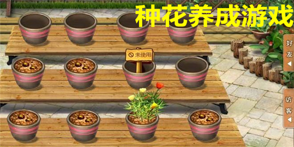关于种花的游戏