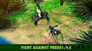 蚱蜢昆虫模拟器最新版 v1.0.0 安卓版 0