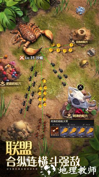 小小蚁国最新版 v1.64.0 安卓汉化版 2
