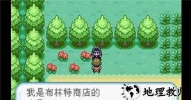 口袋妖怪神兽领域金手指 v1.0.1 安卓版 0