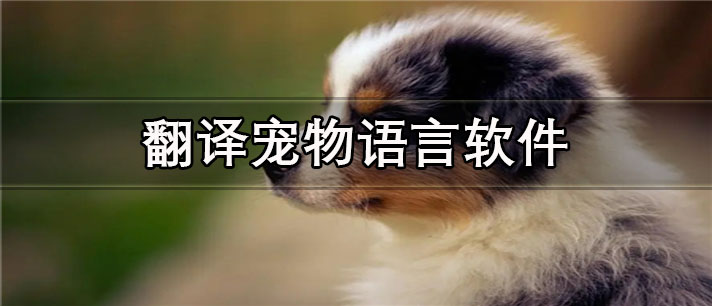 翻译宠物语言app有哪些_最精准的翻译宠物语言app合集