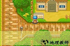 牧场物语矿石镇的伙伴们 v1.8.0 安卓手机版 3