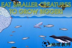 美味海洋手机版(Tasty Blue) v1.3.4.0 安卓版 3