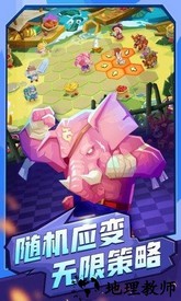 斗兽战棋九游版  3