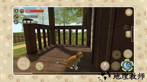 萌宠历险记3d手游 v1.0.0 安卓版 3
