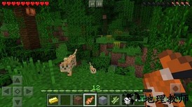 我的世界夏季版手游 v1.16.5.84547 安卓版 1