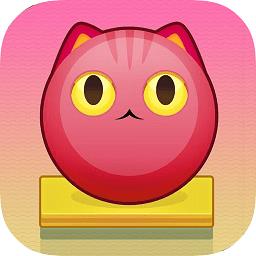 拆弹猫