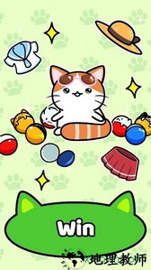 猫咪公寓2中文版 v3.10.138 安卓版 2
