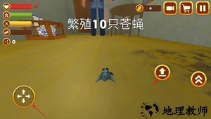 苍蝇模拟器游戏 v1.2.6 安卓版 3