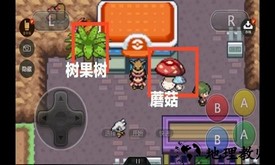 口袋妖怪星神召唤手机版 v2022.07.27.16 安卓版 0