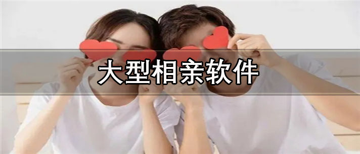 大型相亲app有哪些_真实可靠的大型相亲app合集