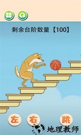 极限躲避游戏 v1.0 安卓版 3
