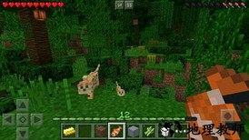 我的世界全皮肤版最新版 v1.19.40.24 安卓版 3