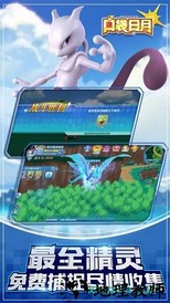 口袋日月果盘版 v4.0.1 安卓版 3