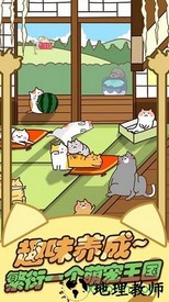 猫咪田园中文版 v2.4.7 安卓版 0