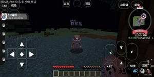 宝可梦世界王国中文版 v1.1 安卓版 3