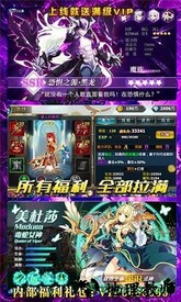 暗黑之光星耀版 v1.0 安卓版 0