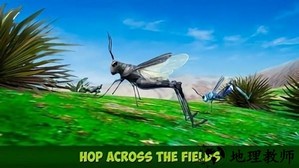 蚱蜢昆虫模拟器最新版 v1.0.0 安卓版 1
