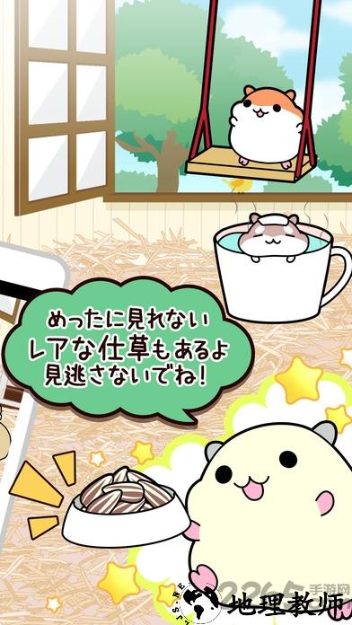 仓鼠收藏中文版游戏 v2.8.0 安卓版 0