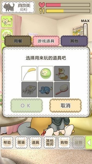 我家不可思议的猫咪游戏 v1.0.1 安卓版 1