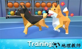 宠物大亨游戏 v0.96 安卓版 2
