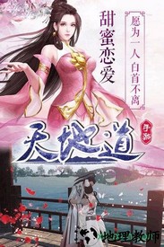 天地道果盘版 v1.0.0 2