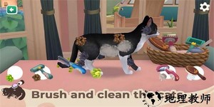 猫咪救援故事手机版 v1.3.1 安卓版 0